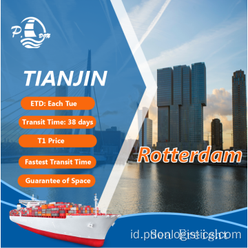 Pengangkutan Laut dari Tianjin ke Rotterdam